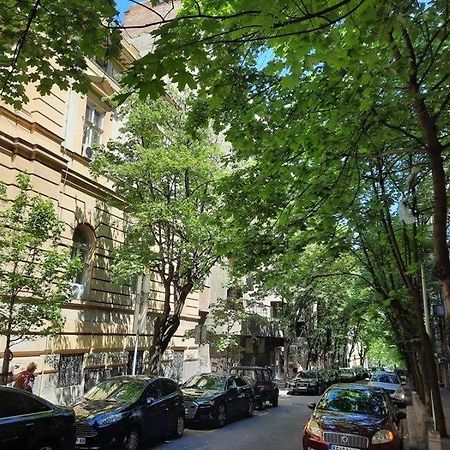 Apartment 51 - Bright, Spacious, Lux 1 Bedroom In The City Center - Stari Grad Belgrade Luaran gambar