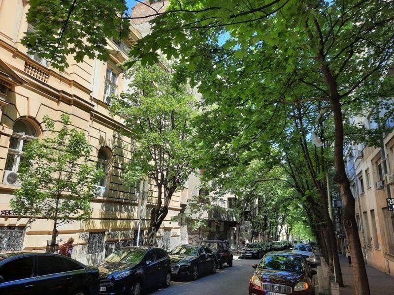 Apartment 51 - Bright, Spacious, Lux 1 Bedroom In The City Center - Stari Grad Belgrade Luaran gambar